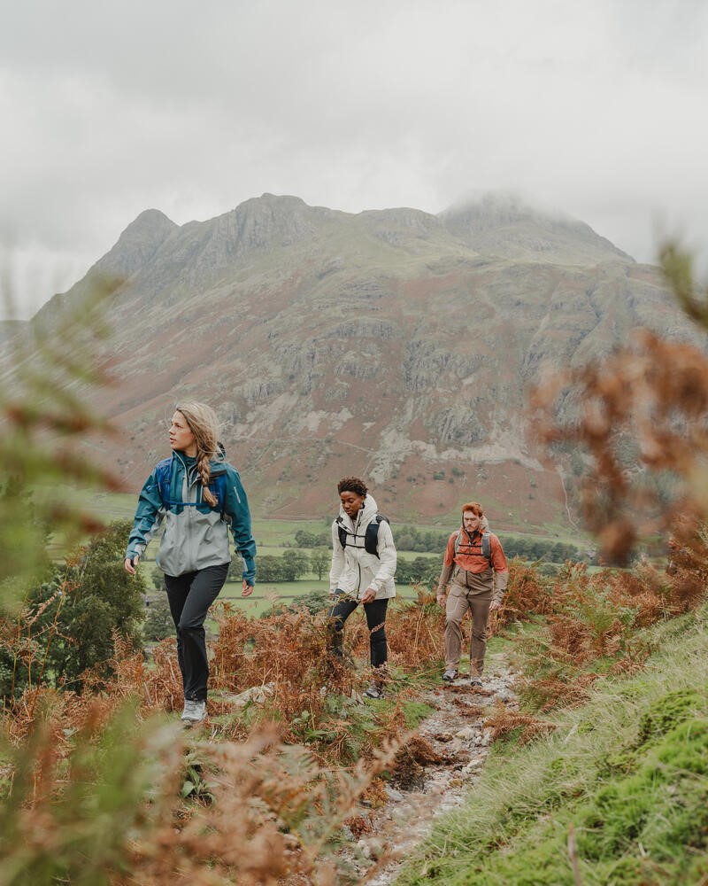 Drie wandelaars trekken door een heuvelachtig landschap met roestkleurige varens op de voorgrond en majestueuze, mistige bergen op de achtergrond.