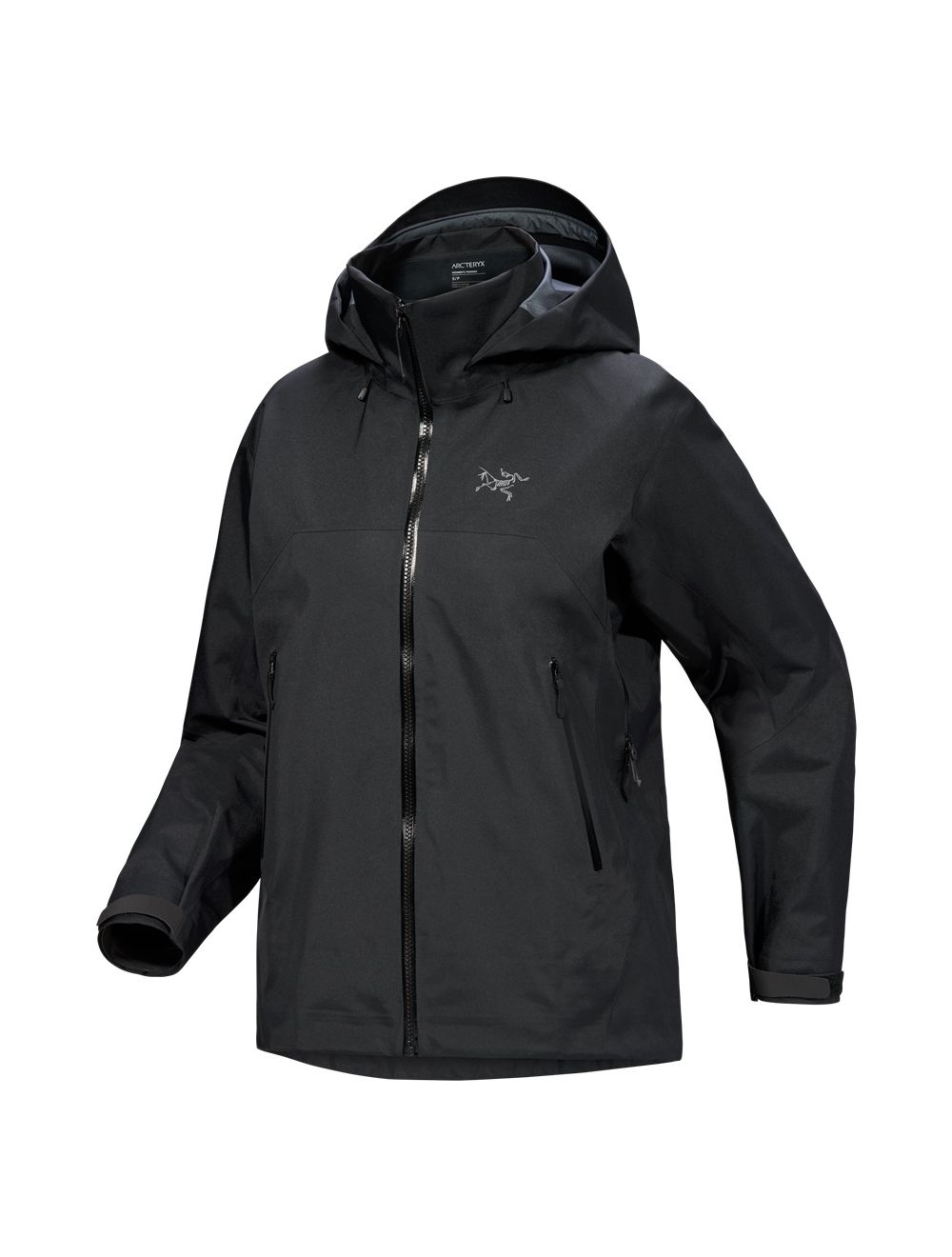 ジャケット・アウター 00s arc'teryx beta ar Arc'teryx Beta AR Jacket W Black Dames toerski jassen : Snowleader