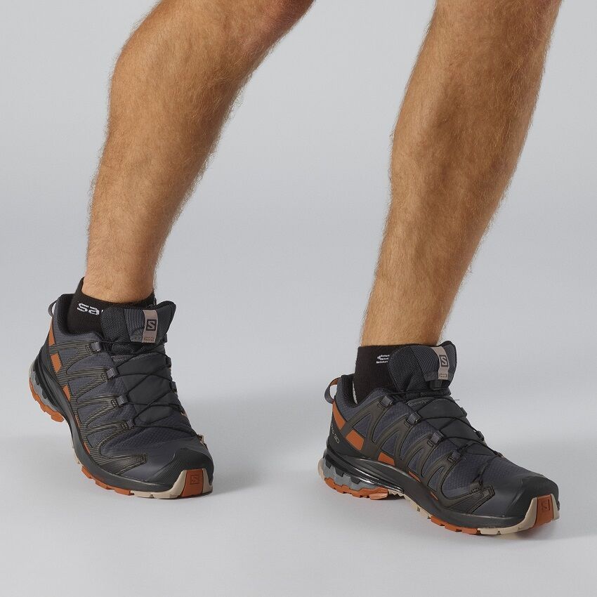 Salomon XA Pro 3D v8 GTX Wide